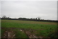 Farmland by Bonscombe Lane in DT6 4LJ