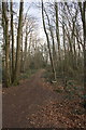 Footpath through Cornwall Copse in RG31 6GP
