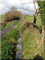 Ditch beside the lane to Wilburton in PL21 9LB