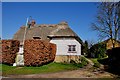 Another Thatched Cottage in Reed in SG8 8AE