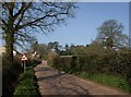 Lane approaching Lower Upton in EX15 1GY
