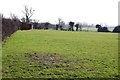 Field by Hyde Farm in Vale of White Horse District