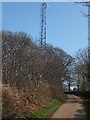 Transmission mast by Tombstone Lane in EX16 8JN