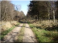 A track from Balnacraig in AB31 4BN