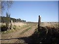 A ploughed field by Bandory Wood in AB31 4BN