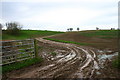 Muddy Farm Track in ST15 0ND