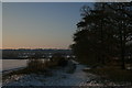 Winter Afternoon in Goat Hall Ward