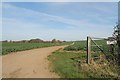 Track towards Oak Holt in Lenton Keisby and Osgodby