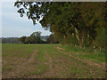 Farmland, Chute Forest in SP11 9DS