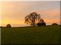 Barn and tree, Chantry in SP11 9EU