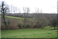Wooded valley north of Tidebrook in TN5 6LH