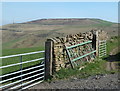 Wall and gates by Brough Lane in S33 9HG