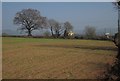 Field by Clyst William Cross in EX14 3HN