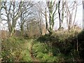 Footpath near Camelford in PL32 9PS