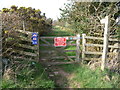 Path up towards Cefn Llechid in LD3 8TG