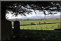 The view from the old Welland churchyard in WR8 0SP