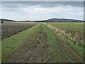 Track across field in AB54 6XR