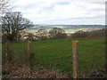 Fields seen from layby on Frome's Hill in HR8 1HN