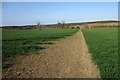 Footpath across the field in MK4 4EL