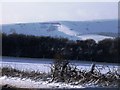 Looking towards Front Hill, South Downs in Beddingham
