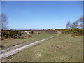 Ibsley Common, footpath junction in SP6 2PT