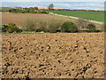 East Lothian farmland in EH41 4LS