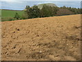 Ploughed field near Papple in EH41 4LS