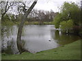 Pond by the crematorium in FY8 4FG