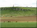 Blaikie Heugh from near Standingstone in EH41 4LF
