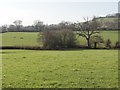 Pasture Fields around Beaston Brook in TQ9 6BW