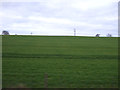 Farmland, Great Chilton in DL17 0DG