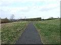 Cycle path towards Jarrow in NE10 0TJ