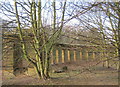 Ruin of colonnade in Hall Wood at Cresswell in Ellington (Northumberland)