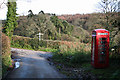 Membury: telephone box at Furley in EX13 7JT