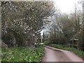 Stream bridge near Farthings Farm in EX5 3DE