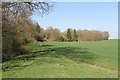 Field and Eastern Edge of Ropsley Rise Wood in NG33 4AA