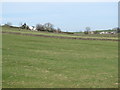 Pastures below Folly Lane in NE47 9QS