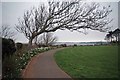 Cliff Top Path Paignton in TQ4 6DS