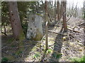The trig point on Buckland Hill in LD3 7JJ