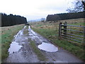 Track to Whaick farm in PH4 1QT