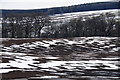 Snowy field, Craighall in PH10 7HR
