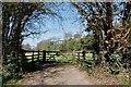 Gate and Field with Daw Mill Colliery in the background in B46 2BW