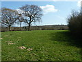 Broad Oaks by the footpath to Broad Oak in TN21 8PU
