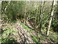 Descent into stream valley near Blackwater Cottage in TN21 8PU