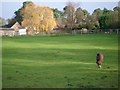 Field at Ripsley Farm in GU30 7JG