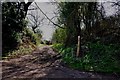 Footpath and Track to Black Hall Farm in CV7 8DQ