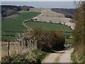 Cocking Down from Manorfarm Down in GU29 0HS