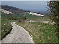 South Downs Above Cocking in GU29 0HS