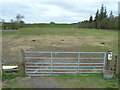 Fields by Moor Wood in Castle Douglas and Crocketford Ward