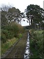 Track to Ley in AB31 5NG